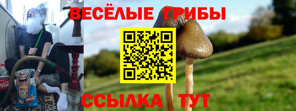 Галлюциногенные грибы MAGIC MUSHROOMS  Вход с VPN  Сатка 